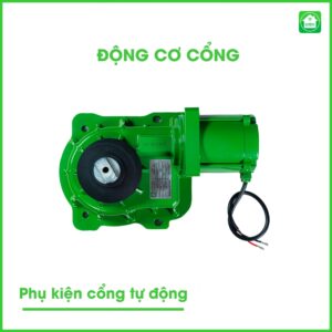 dong co cong
