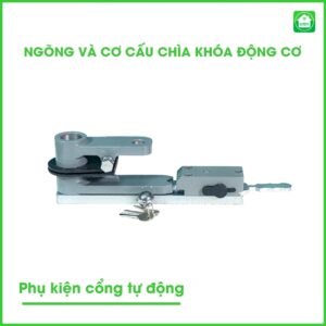 ngong va co cau chia khoa2